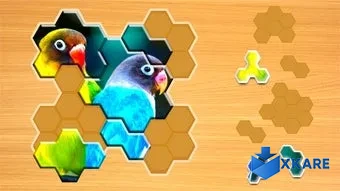Jigsaw Puzzles Hexa