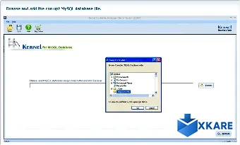 MySQL Recovery