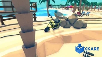 Eggcelerate! to the Tropics
