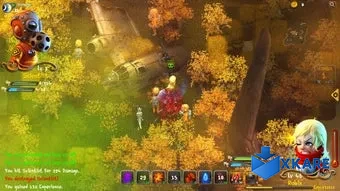Dragon Fin Soup