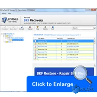 Corrupt MS BKF Recovery
