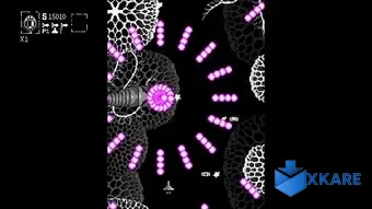 Hexapoda