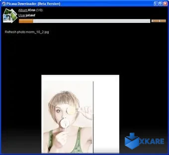 Picasa Album Downloader