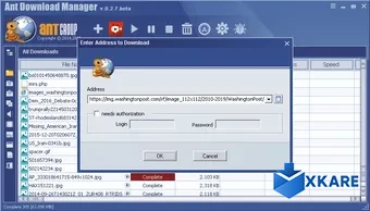 Ant Download Manager and Video Downloader