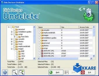 Disk Doctors Undelete
