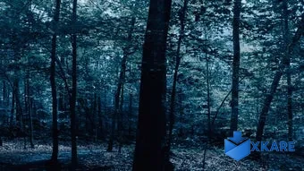 The Holyburn Witches