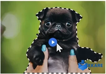 Adobe Photoshop Elements
