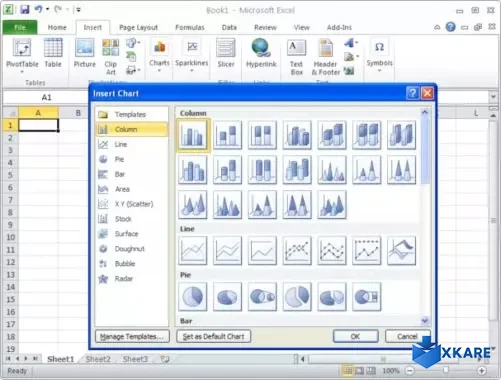 Microsoft Office Professional 2010