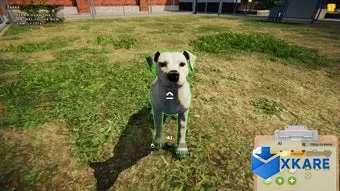 Animal Shelter: Prologue