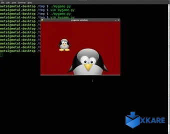 Pygame