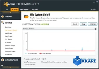 avast! File Server Security