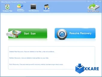 Wise Recover Formatted Drive