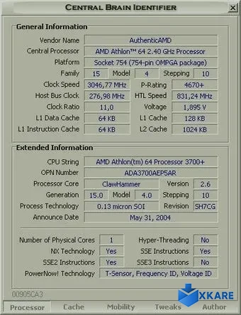 Central Brain Identifier