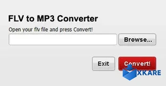 FLV to MP3 Converter