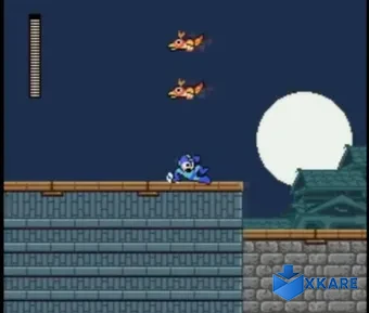 Street Fighter X Mega Man