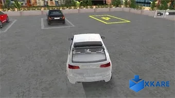 Real Car Driving