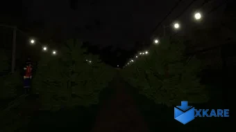 The McMilian Tree Lot