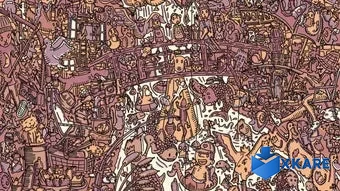 I commissioned some butterflies 5