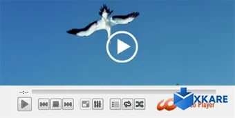 HD Video Media Player for Windows