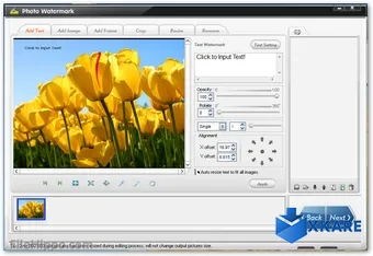 WonderFox Photo Watermark