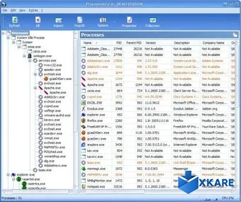 ProcessInfo