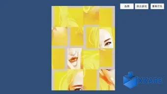 Pleasure Puzzle:Portrait