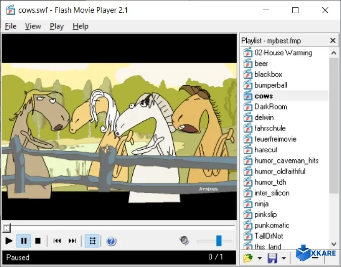Flash Movie Player