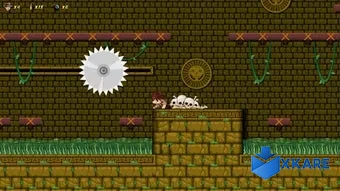 Risky Chronicles and the Curse of Destiny