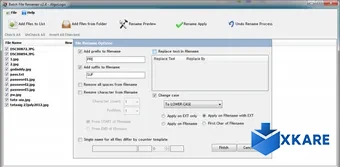 Batch Files Renamer