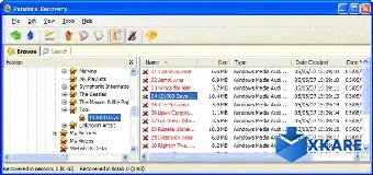 Pandora Recovery