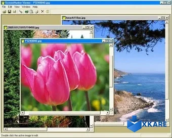 ScreenHunter