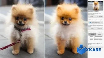 Adobe Photoshop Elements 2022