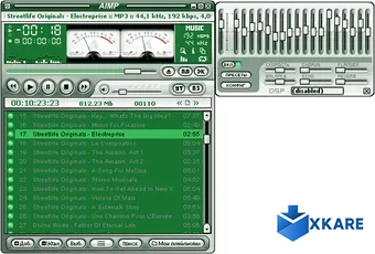 AIMP Winamp Rimidalw
