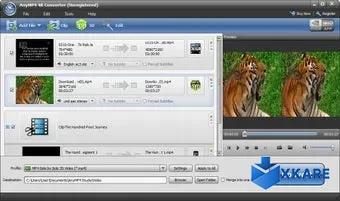 AnyMP4 4K Converter