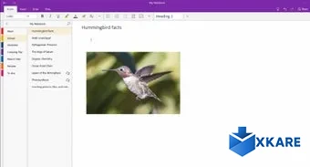 Microsoft Office OneNote