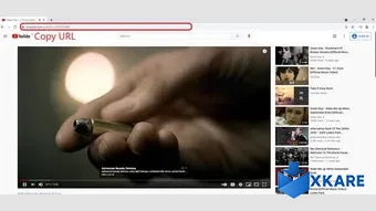 Video Downloader for All Platform