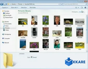 FastPictureViewer Codec Pack