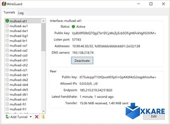 WireGuard