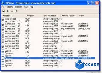 TCPView