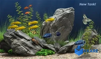 Dream Aquarium Screensaver