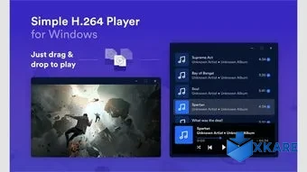 H.264 Player