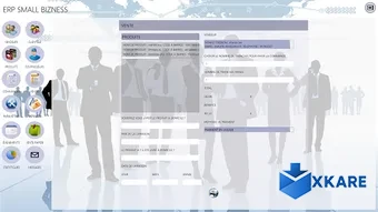 ERP SMALL BIZNESS