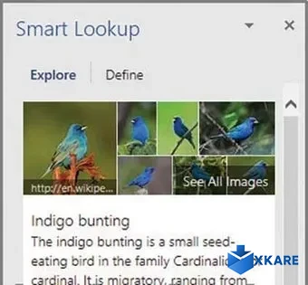 Microsoft Word 2016