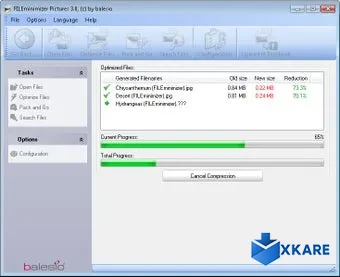FILEminimizer Pictures