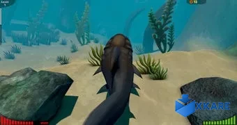 Feed and Grow: Fish