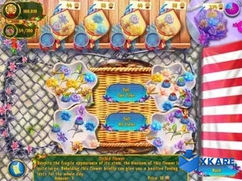 Magic Farm 2: Fairy Lands