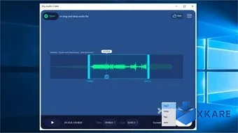 Any Audio Cutter