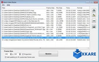 Batch Video Resizer