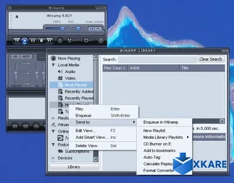 Winamp Media Player 11 Skin