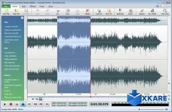 Wavepad Audio Editor Pro